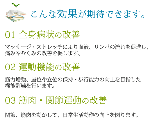 経絡とは…